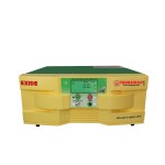 Exide Solar Hybrid 1500VA 24V Pure Sine Wave Inverter