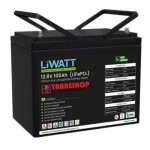 Lithium Iron Phosphate 100AH/12V Battery