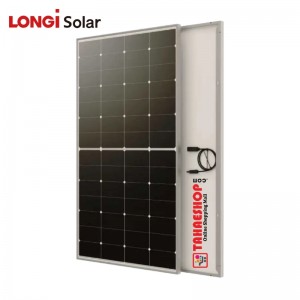 Longi Horizon 225W Solar Panel